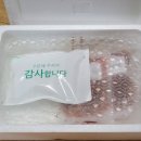 멍게 | 국내산젓갈 온라인 주문하기 | 소래포구 강화상회 멍게젓, 토하젓 후기