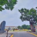 은진초등 이미지