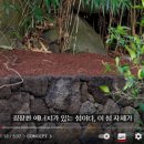 아뜰리에페이퍼건축사사무소