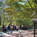 동백호수공원 이미지