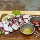 추동캠프 이미지