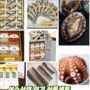 영광팩 이미지