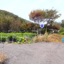 내곡동280 이미지