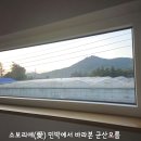 소보리애 이미지