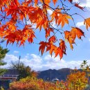 선웅농원 이미지