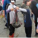 종현어촌마을 이미지