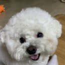 (주)진심