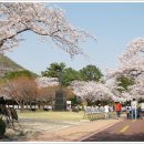 구 진해요항부 병원 Daum카페