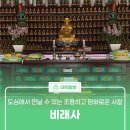 비래사 앞 | 도심 속에서 만날 수 있는 조용하고 평화로운 사찰 &#39;비래사&#39;