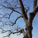 소백산자연휴양림 이미지