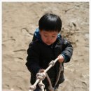 인월초등학교 이미지