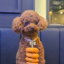 펀비어킹 앞 | [내돈내산] 고양/원당 술집 ‘펀비어킹 고양원당점’ 후기 🍺 (단체, 포장, 주차 가능)