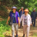 상중1반 마을회관 | 고송2리ㅣ제 4회 주민 화합 걷기 활동(2023. 06. 10)