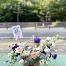 엘캘리플라워