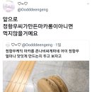 정항우케익&카페 네이버블로그