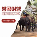 선두농장 | 방콕 여행 자유 패키지 호핑투어 후기 및 준비물 총정리