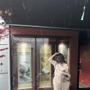 렌즈타운 울산삼산점 | 울산 삼산 오마카세 맛집 추천 마왕다이닝