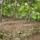 횡천면사무소 이미지