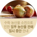 농업회사법인 주식회사 도담 네이버블로그