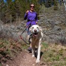 find your dog 이미지