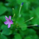 힐링플루트 이미지