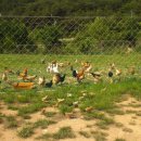 윤씨네농장 이미지