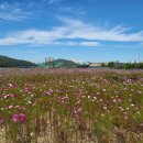 호수정원 이미지