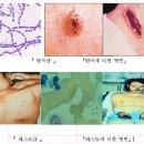 방재안전관리, 최철규, 화생방분야 이미지