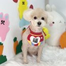 꼬맹이네 멍발소 이미지