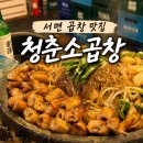 청춘곱창 - 원주시 | 부산 서면 곱창 맛집✨ 곱이 꽉 찬 '청춘소곱창' 내돈내산 솔직후기
