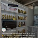 투썸플레이스 일광신도시점 | 일광피티 무릎 아픈 분들이라면 꼭 보세요