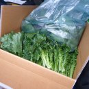 갑진농장 이미지