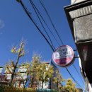 스타킹 | 대구 달서구 피부샵 손스스킨바디 거북목 등관리 받은 후기
