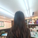 마이트엉헤어 | 어제 오늘