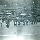 오리초등학교 이미지