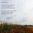 오베르 이미지