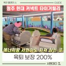 (주)고속에너지 | 청주 현대 커넥트 키즈카페, 타이거 릴리! 에너지 발산 끝판왕 빠른 육퇴 가능