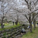 대왕수천 이미지