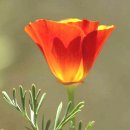 5월 26일 월요일 간추린 뉴스와 날씨 이미지