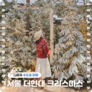 현대5호 | 서울 더현대 크리스마스 현장웨이팅 후기(feat. 웨이팅 지옥)