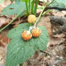 부동산랜드신흥공인중개사사무소 이미지