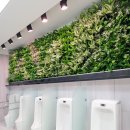 시청1층 화장실 이미지