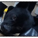 뷰티채널(BEAUTY CHANNEL) 이미지