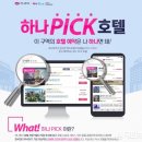 하나베스트투어