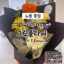 노원꽃집 노원프로포즈꽃다발로 유명한 그릿플라워 쨍한 색감의 비비드 꽃다발 후기