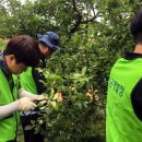 새만금농장 이미지