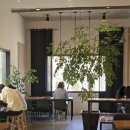 카페서천담 이미지