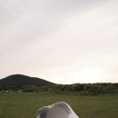 시그널그라피 이미지