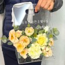앵지스파티