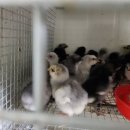 청계유통 이미지